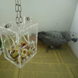 ForageFun Hanging Feeder – The Ultimate Treat Toy for Curious Birds