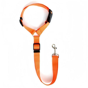 SafeRide DuoLeash – 2-in-1 Car Seat Belt & Walking Leash for Dogs on the Move